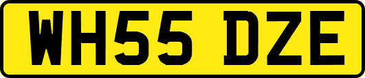 WH55DZE