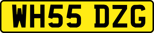 WH55DZG