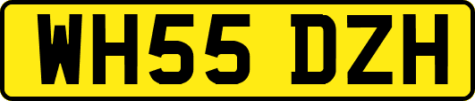 WH55DZH