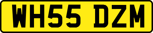 WH55DZM