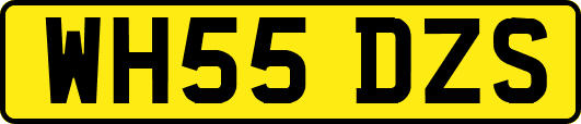 WH55DZS