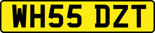 WH55DZT