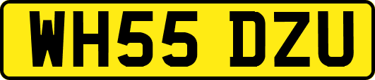 WH55DZU