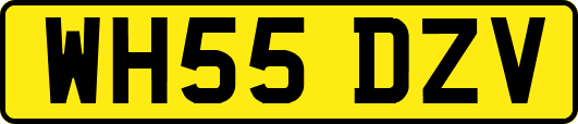 WH55DZV