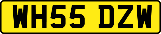 WH55DZW