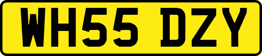 WH55DZY