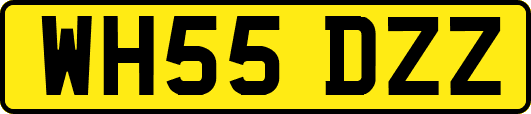 WH55DZZ
