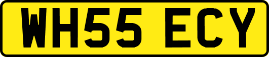 WH55ECY