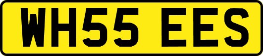 WH55EES