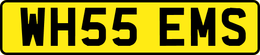 WH55EMS