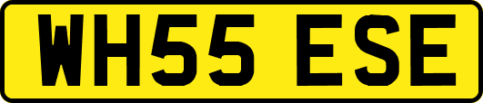 WH55ESE