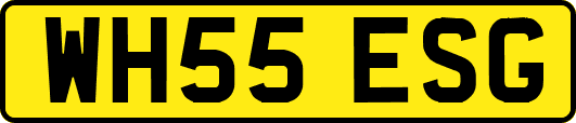WH55ESG