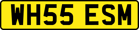 WH55ESM