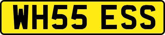 WH55ESS