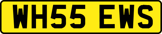 WH55EWS