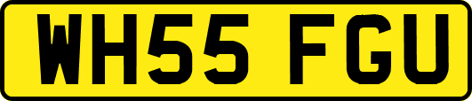WH55FGU