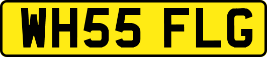 WH55FLG