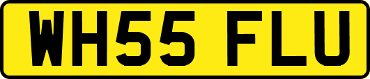 WH55FLU