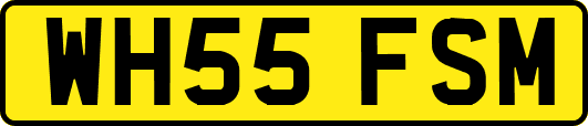 WH55FSM