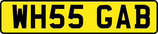 WH55GAB