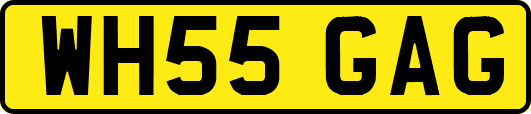 WH55GAG