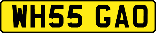 WH55GAO