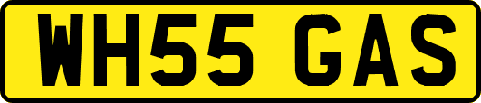 WH55GAS