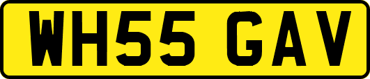 WH55GAV