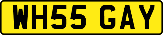 WH55GAY