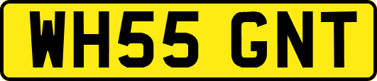 WH55GNT