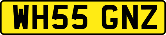 WH55GNZ