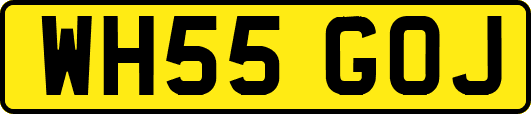 WH55GOJ