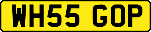 WH55GOP