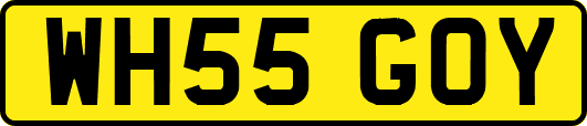 WH55GOY