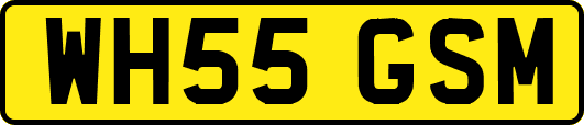 WH55GSM
