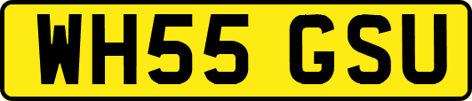 WH55GSU