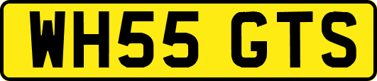 WH55GTS