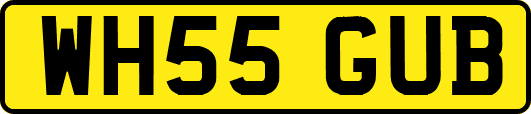 WH55GUB