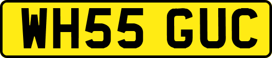 WH55GUC