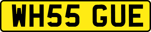 WH55GUE