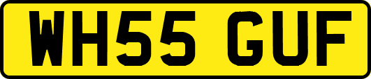 WH55GUF