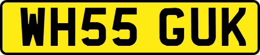 WH55GUK