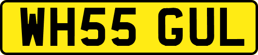 WH55GUL