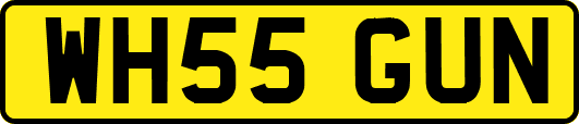 WH55GUN