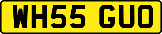 WH55GUO