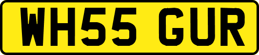 WH55GUR