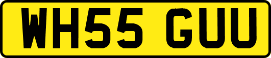WH55GUU