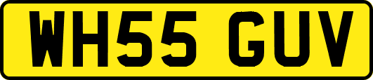 WH55GUV