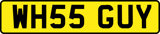 WH55GUY