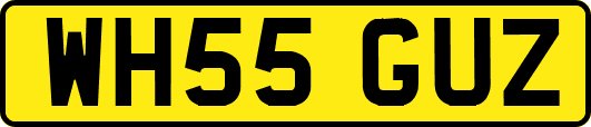 WH55GUZ